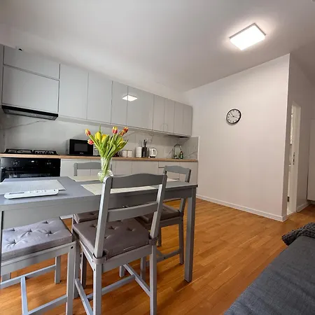 Scandinavian Ap Крайова