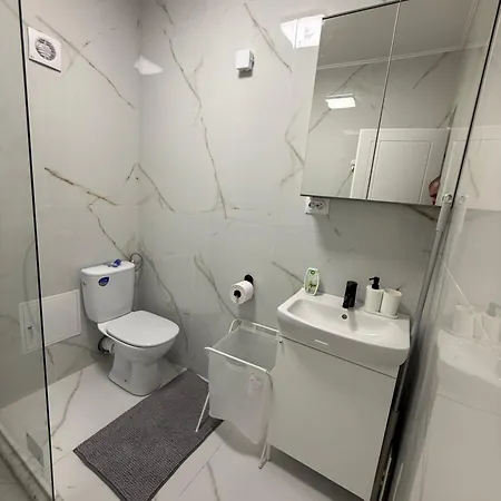 Apartament Scandinavian Ap *