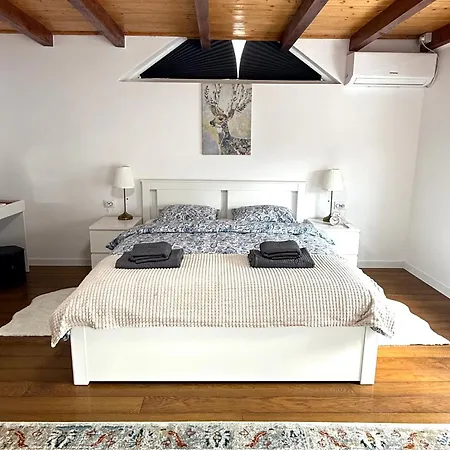 Apartament Scandinavian Ap