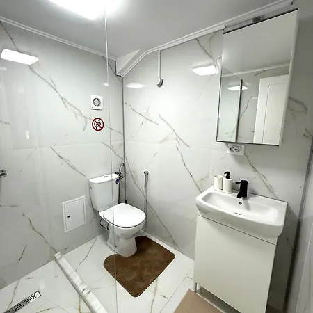 Scandinavian Ap Apartment Craiova
