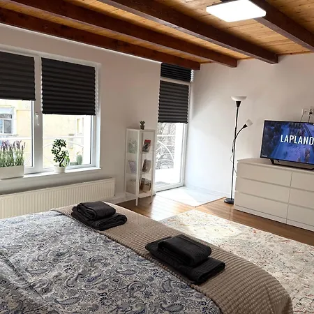 Apartament Scandinavian Ap *
