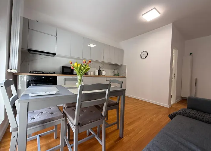 Scandinavian Ap Craiova