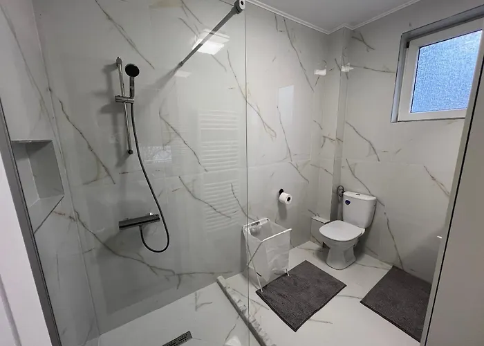 Scandinavian Ap Craiova