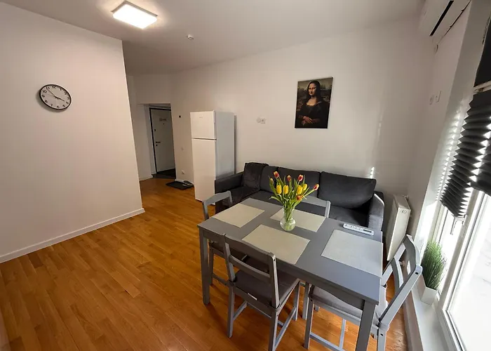 Scandinavian Ap Craiova