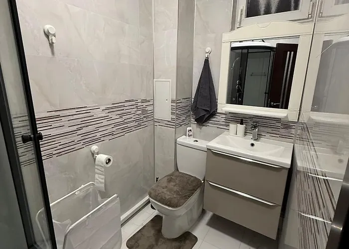 Scandinavian Ap * Craiova