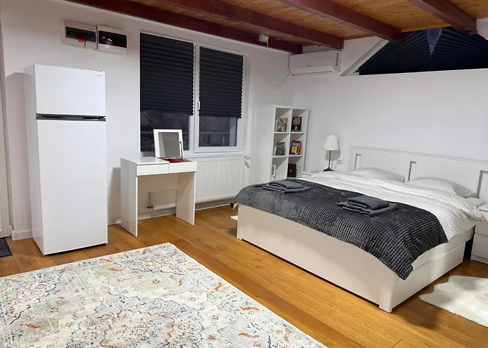 Scandinavian Ap Apartment Craiova