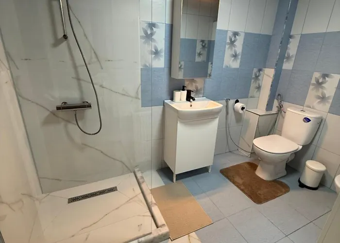 Scandinavian Ap Craiova