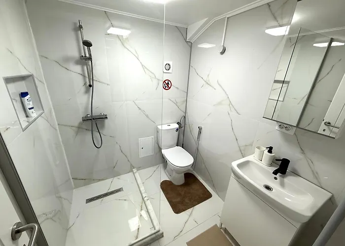 Apartment Scandinavian Ap